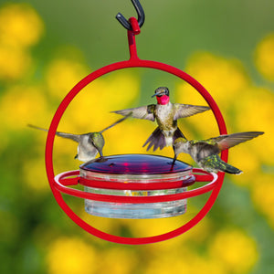 Mosaic Birds Hummble Hummingbird Replacement Lid shown with a group of hummingbirds drinking from a feeder. Suitable for outdoor use.