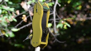 Duncraft Fancy Finch Nyjer® Wave Bird Feeder