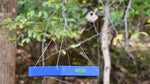 Duncraft Classic Bird Safe Platform Bird Feeder, Royal Blue