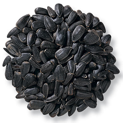 A pile of black-skinned sunflower seeds with intact shells, showcasing their glossy texture, suitable for snacking or culinary use.