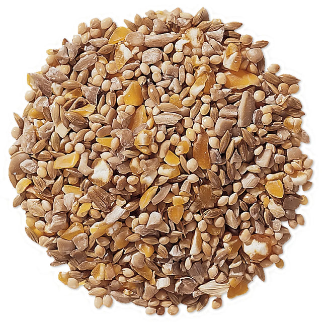 Duncraft Four Seasons No-Waste Wild Bird Seed, 5-lb bag, close-up of seeds, including sunflower hearts, white millet, and cracked corn, perfect for year-round bird feeding.