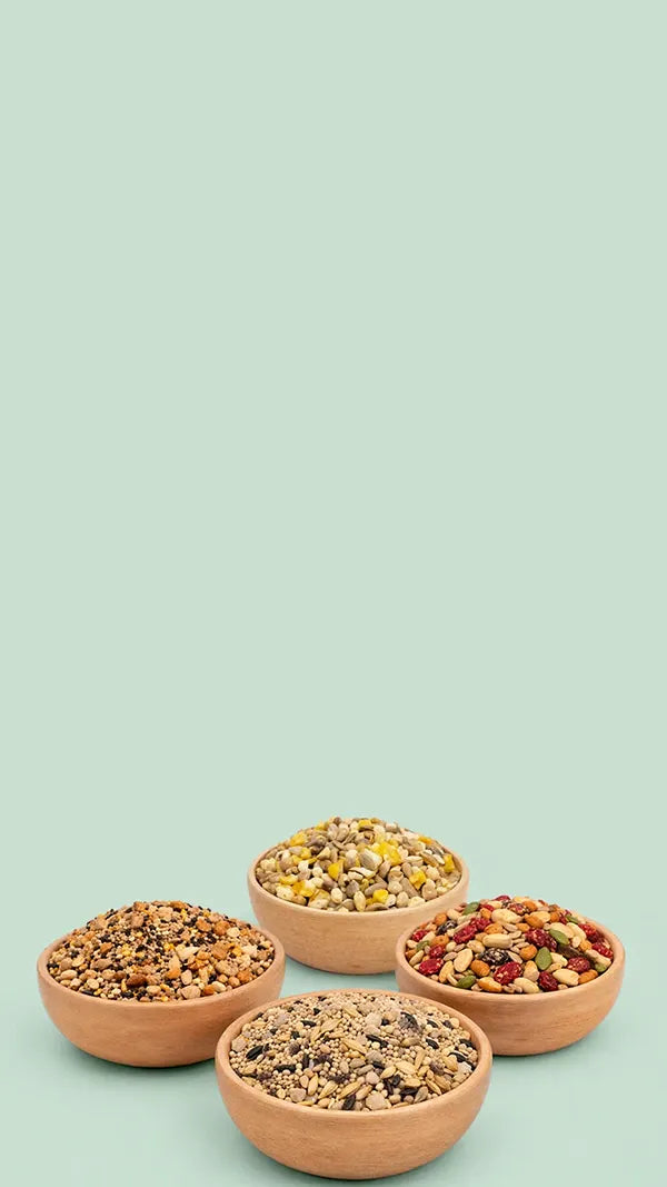 4 bowls of bird seed against a green background.