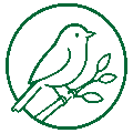 Attracts More Birds